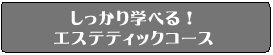 �G�X�e�e�B�b�N�R�[�X